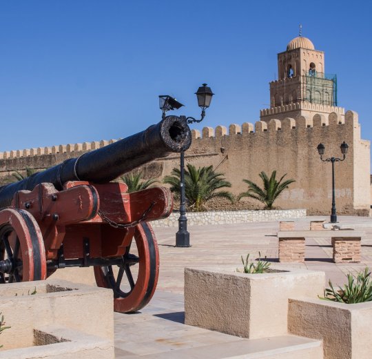 Туры в Тунис 2025 из Москвы - цена на отдых от туроператора Tez Tour