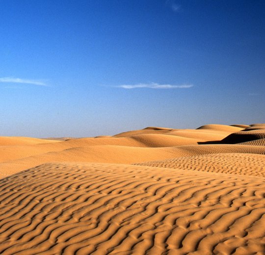 Туры в Тунис 2025 из Москвы - цена на отдых от туроператора Tez Tour