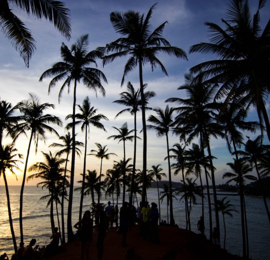 Туры в Шри-Ланку 2025 из Москвы - цена на отдых от туроператора Tez Tour Туры в Шри-Ланку 2025 из Москвы - цена на отдых от туроператора Tez Tour