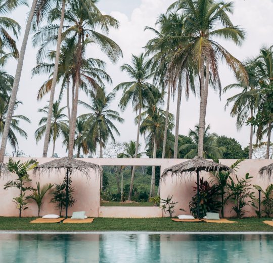 Туры в Шри-Ланку 2025 из Москвы - цена на отдых от туроператора Tez Tour Туры в Шри-Ланку 2025 из Москвы - цена на отдых от туроператора Tez Tour