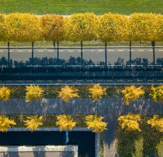 Туры в Эстонию 2025 из Москвы - цена на отдых от туроператора Tez Tour