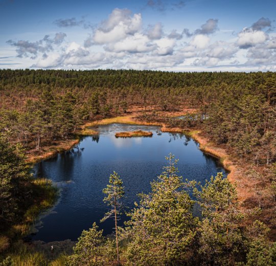 Туры в Эстонию 2025 из Москвы - цена на отдых от туроператора Tez Tour