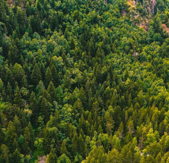 Туры в Андорру 2025 из Москвы - цена на отдых от туроператора Tez Tour Туры в Андорру 2025 из Москвы - цена на отдых от туроператора Tez Tour