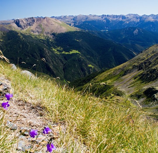Туры в Андорру 2025 из Москвы - цена на отдых от туроператора Tez Tour Туры в Андорру 2025 из Москвы - цена на отдых от туроператора Tez Tour