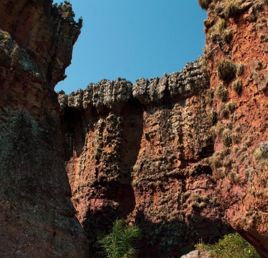 Туры в Бразилию 2025 из Москвы - цена на отдых от туроператора Tez Tour