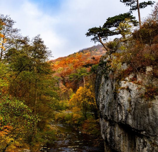 Туры в Баден 2025 - цены на путевки в Австрию из Москвы от туроператора Tez Tour