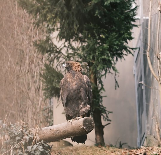 Туры Инсбруку 2025 - цены на путевки в Австрию из Москвы от туроператора Tez Tour