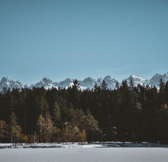 Туры в Зеефельд 2025 - цены на путевки в Австрию из Москвы от туроператора Tez Tour