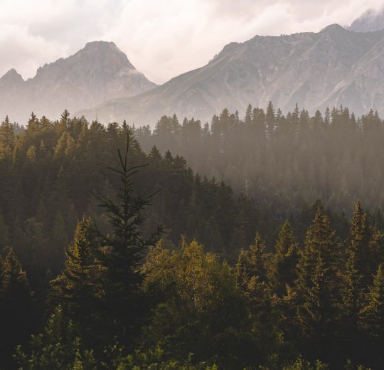 Туры в Зеефельд 2025 - цены на путевки в Австрию из Москвы от туроператора Tez Tour