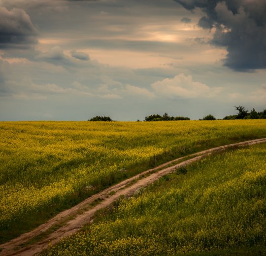 Туры в Витебск 2025 - цены на путевки в Беларусь из Москвы от туроператора Tez Tour