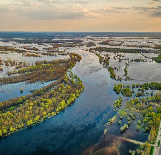 Туры в Гомел 2025 - цены на путевки в Беларусь из Москвы от туроператора Tez Tour