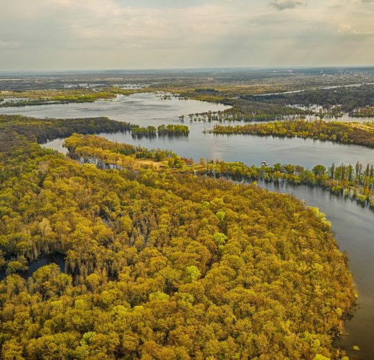 Туры в Гомел 2025 - цены на путевки в Беларусь из Москвы от туроператора Tez Tour