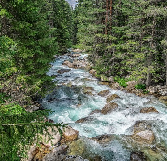 Туры в Банско 2025 - цены на путевки в Болгарию из Москвы от туроператора Tez Tour Туры в Банско 2025 - цены на путевки в Болгарию из Москвы от туроператора Tez Tour