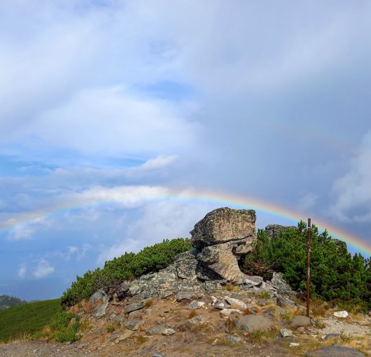 Туры в Боровец 2025 - цены на путевки в Болгарию из Москвы от туроператора Tez Tour Туры в Боровец 2025 - цены на путевки в Болгарию из Москвы от туроператора Tez Tour