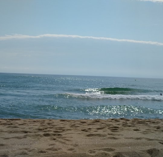 Туры в Обзор 2025 - цены на путевки в Болгарию из Москвы от туроператора Tez Tour Туры в Обзор 2025 - цены на путевки в Болгарию из Москвы от туроператора Tez Tour