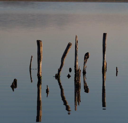 Туры в Поморие 2025 - цены на путевки в Болгарию из Москвы от туроператора Tez Tour Туры в Поморие 2025 - цены на путевки в Болгарию из Москвы от туроператора Tez Tour