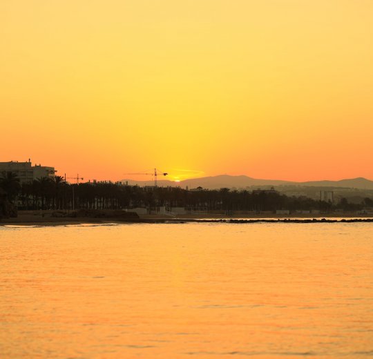 Туры в Св. Константин и Елену 2025 - цены на путевки в Болгарию из Москвы от туроператора Tez Tour Туры в Св. Константин и Елену 2025 - цены на путевки в Болгарию из Москвы от туроператора Tez Tour