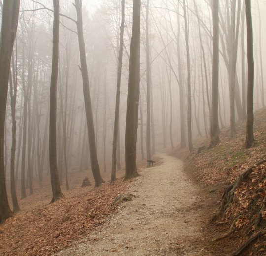 Туры в Св. Константин и Елену 2025 - цены на путевки в Болгарию из Москвы от туроператора Tez Tour Туры в Св. Константин и Елену 2025 - цены на путевки в Болгарию из Москвы от туроператора Tez Tour