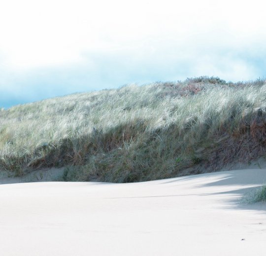 Туры в Солнечный День 2025 - цены на путевки в Болгарию из Москвы от туроператора Tez Tour