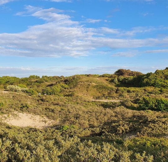 Туры в Солнечный День 2025 - цены на путевки в Болгарию из Москвы от туроператора Tez Tour