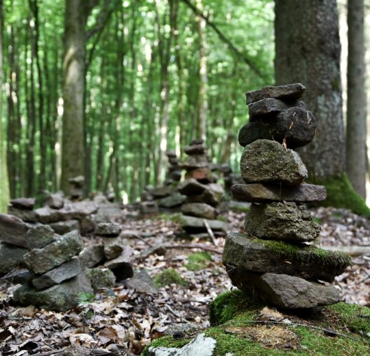 Туры в Солнечный День 2025 - цены на путевки в Болгарию из Москвы от туроператора Tez Tour