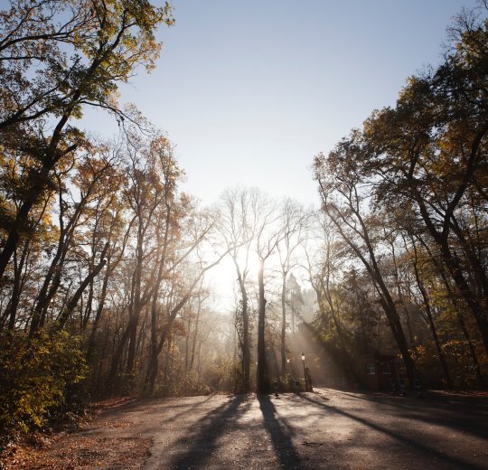 Туры в Софию 2025 - цены на путевки в Болгарию из Москвы от туроператора Tez Tour Туры в Софию 2025 - цены на путевки в Болгарию из Москвы от туроператора Tez Tour