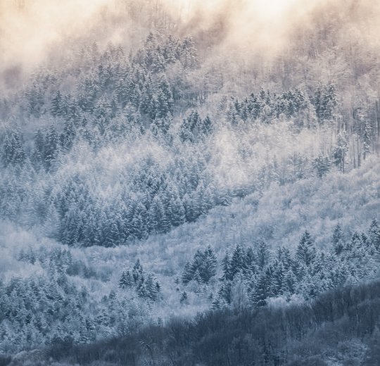 Туры в Софию 2025 - цены на путевки в Болгарию из Москвы от туроператора Tez Tour Туры в Софию 2025 - цены на путевки в Болгарию из Москвы от туроператора Tez Tour