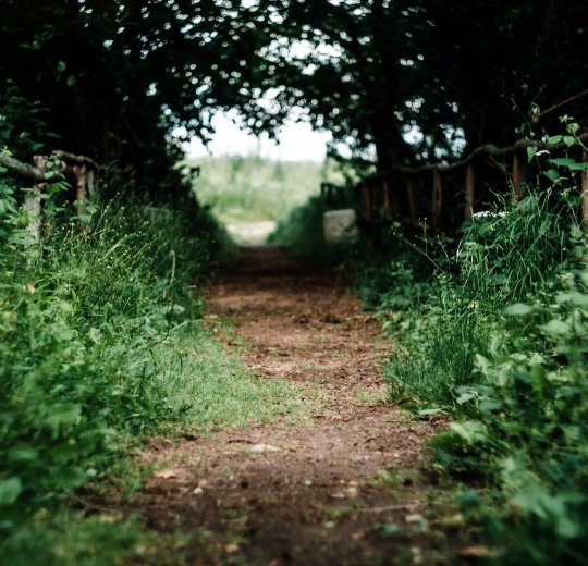 Туры в Бургас 2025 - цены на путевки в Болгарию из Москвы от туроператора Tez Tour