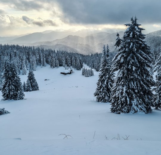 Туры в Пампорово 2025 - цены на путевки в Болгарию из Москвы от туроператора Tez Tour