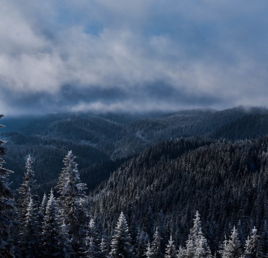 Туры в Пампорово 2025 - цены на путевки в Болгарию из Москвы от туроператора Tez Tour
