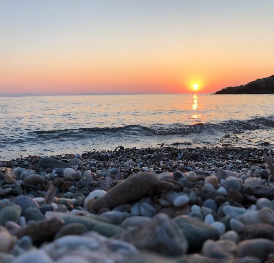 Туры в Ривьеру 2025 - цены на путевки в Болгарию из Москвы от туроператора Tez Tour