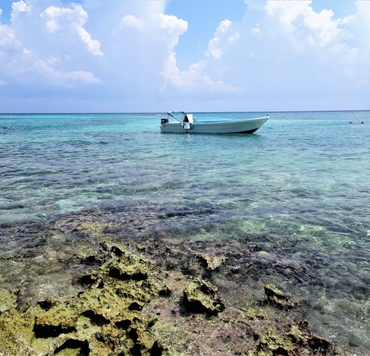 Туры в Ривьеру 2025 - цены на путевки в Болгарию из Москвы от туроператора Tez Tour