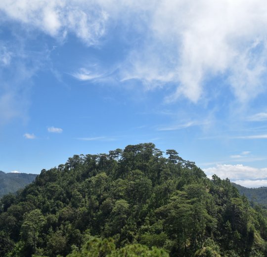 Туры в Рио де Жанейро 2025 - цены на путевки в Бразилию из Москвы от туроператора Tez Tour Туры в Рио де Жанейро 2025 - цены на путевки в Бразилию из Москвы от туроператора Tez Tour