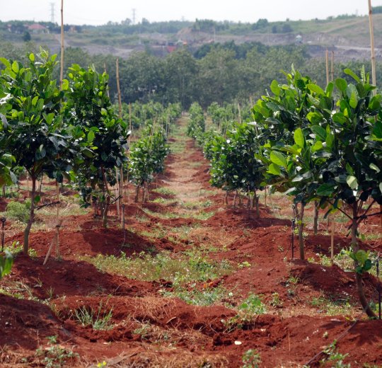 Туры в Вунг Тау 2025 - цены на путевки во Вьетнам из Москвы от туроператора Tez Tour