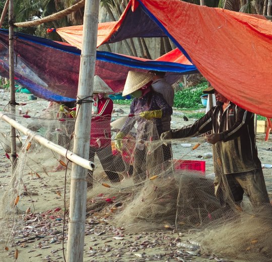 Туры в Фантхиет 2025 - цены на путевки во Вьетнам из Москвы от туроператора Tez Tour