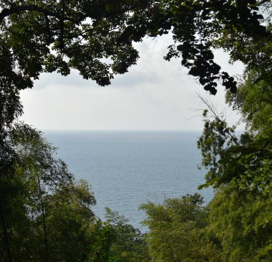 Туры в Батуми 2025 - цены на путевки в Грузию из Москвы от туроператора Tez Tour