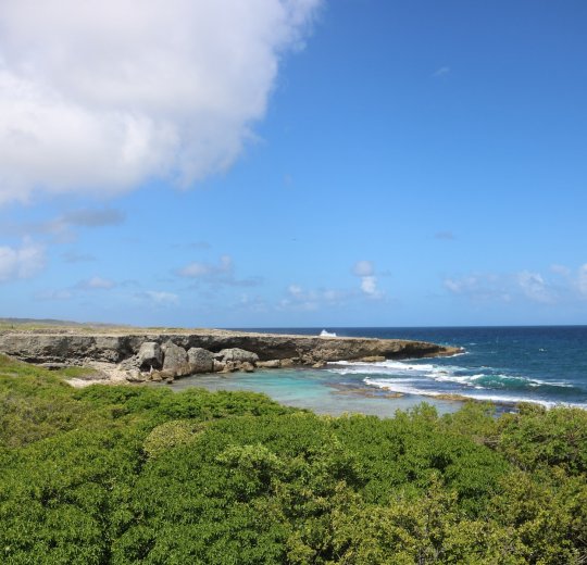 Туры в Бока Чику 2025 - цены на путевки в Доминикану из Москвы от туроператора Tez Tour