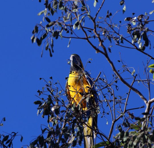 Туры в Уверо Альто 2025 - цены на путевки в Доминикану из Москвы от туроператора Tez Tour