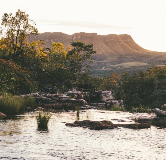 Туры в Уверо Альто 2025 - цены на путевки в Доминикану из Москвы от туроператора Tez Tour