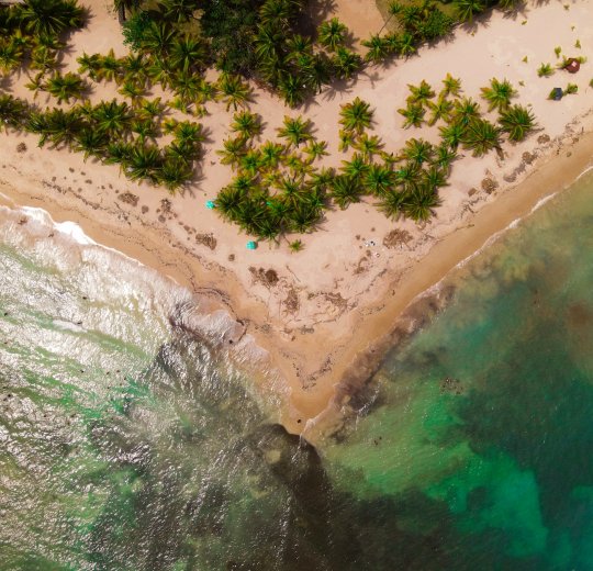 Туры в Хуан Долио 2025 - цены на путевки в Доминикану из Москвы от туроператора Tez Tour