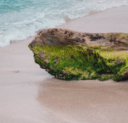 Туры в Хуан Долио 2025 - цены на путевки в Доминикану из Москвы от туроператора Tez Tour