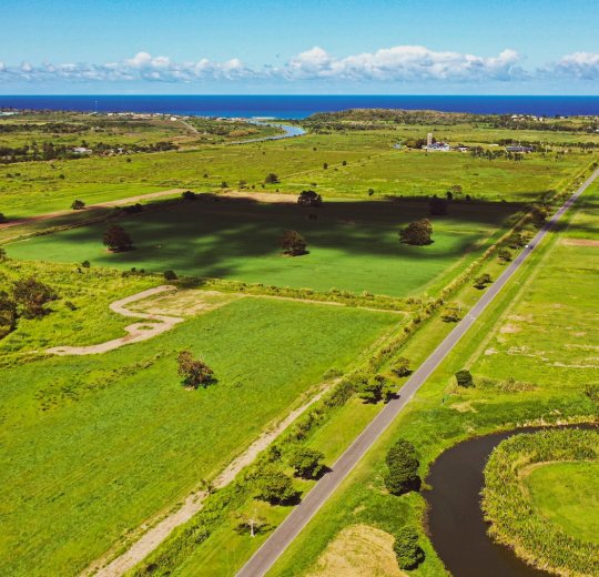 Туры в Пуэрто Плата 2025 - цены на путевки в Доминикану из Москвы от туроператора Tez Tour