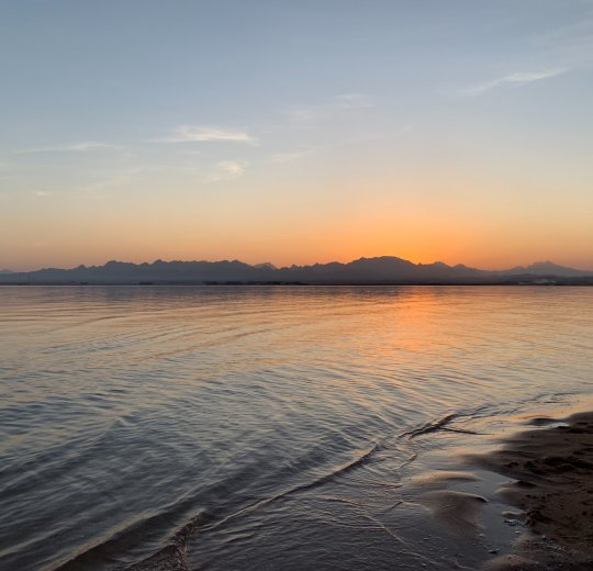 Туры в Сафагу 2025 - цены на путевки в Египет из Москвы от туроператора Tez Tour