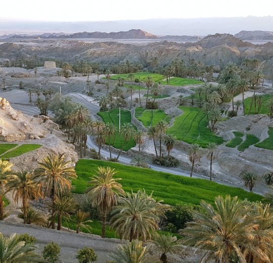 Туры в Табу 2025 - цены на путевки в Египет из Москвы от туроператора Tez Tour