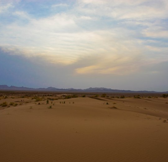 Туры в Табу 2025 - цены на путевки в Египет из Москвы от туроператора Tez Tour