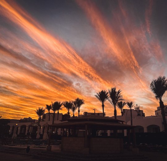 Туры в Шарм эль Шейх 2025 - цены на путевки в Египет из Москвы от туроператора Tez Tour Туры в Шарм эль Шейх 2025 - цены на путевки в Египет из Москвы от туроператора Tez Tour