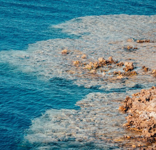 Туры в Дахаб 2025 - цены на путевки в Египет из Москвы от туроператора Tez Tour Туры в Дахаб 2025 - цены на путевки в Египет из Москвы от туроператора Tez Tour