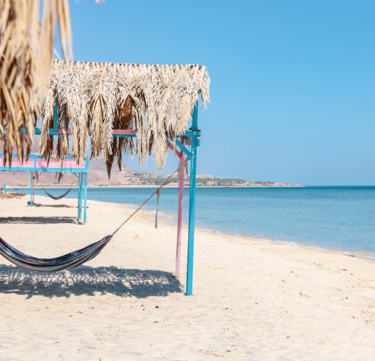 Туры в Нувейбу 2025 - цены на путевки в Египет из Москвы от туроператора Tez Tour