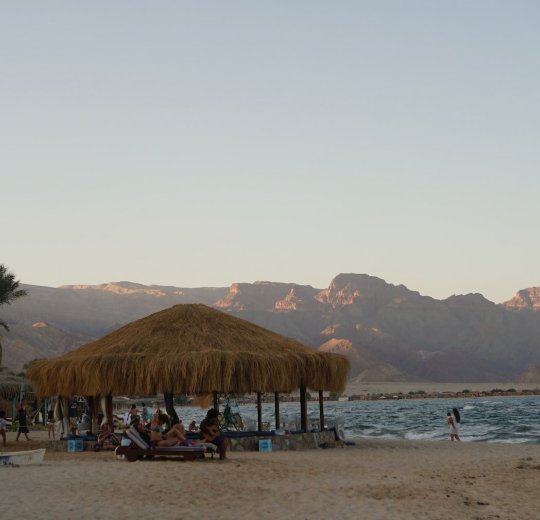 Туры в Нувейбу 2025 - цены на путевки в Египет из Москвы от туроператора Tez Tour