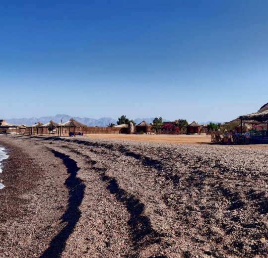 Туры в Нувейбу 2025 - цены на путевки в Египет из Москвы от туроператора Tez Tour